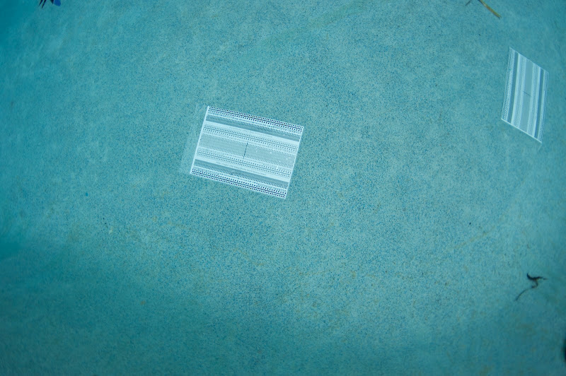 16mm2009-03-2611354.jpg