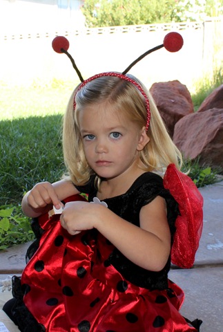 [ladybugcostume9252010100928AM3.jpg]