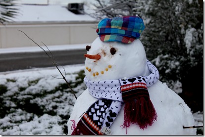 mr snowman 1-3-2011 9-36-24 AM