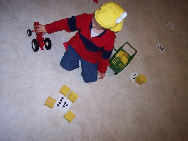 [mini100_39693.jpg]