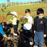 fotos 2 periodo 072.jpg