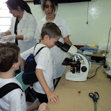 DSC00912.JPG