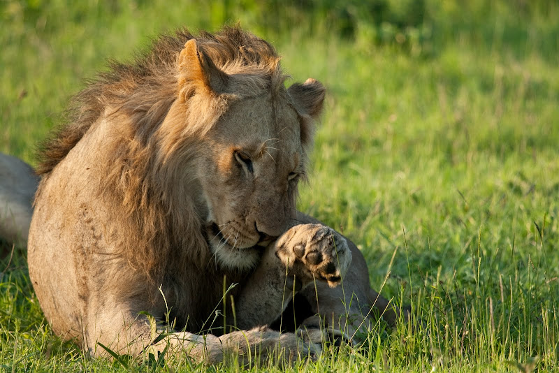 IMAGE: http://lh3.ggpht.com/_3EGyrfPaGJs/TP4lv0v1y2I/AAAAAAAACNs/6Ntz62Jpwns/s800/20101118-IMG_7292.jpg