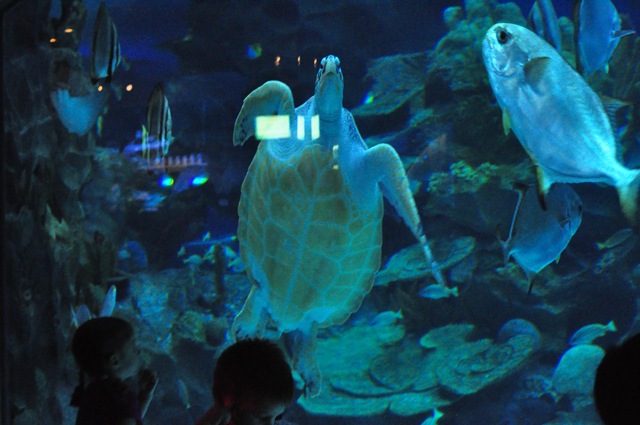 [DSC_3339[2].jpg]