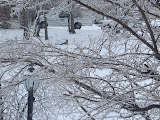 DSC08190.JPG