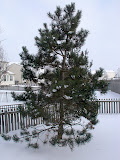 021407 Import 217.JPG