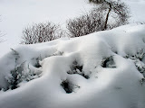 021407 Import 222.JPG