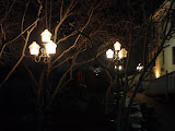 DSC05333.JPG