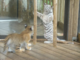 DSC05803.JPG