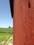 DSC08914.JPG