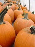 DSC09352.JPG