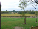 DSC09445.JPG