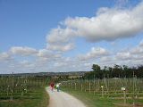 DSC09510.JPG
