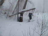 IMG_2371.JPG