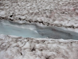 IMG_0009.JPG