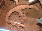  &ndash; 02-dic-2009