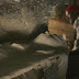 lahun_mummy6.jpg