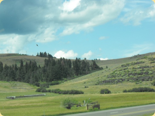 Drive to Emigrant Springs State Park, OR 270