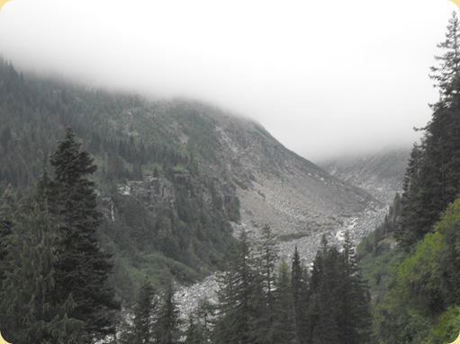 Mt. Rainier National Park 238