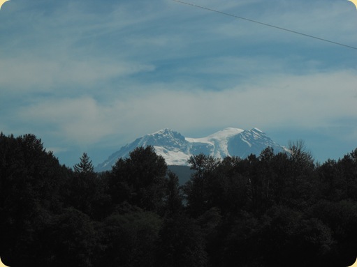 Mt. Rainier 043