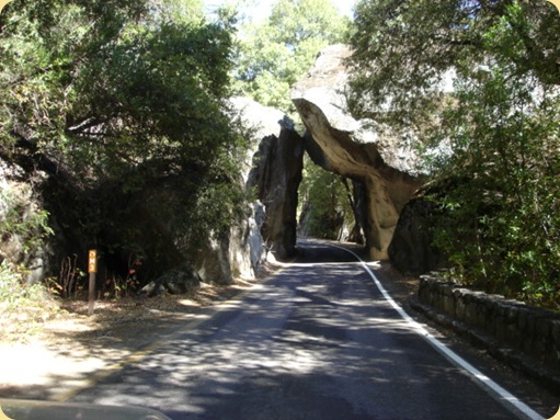 Yosemite National Park, CA 075