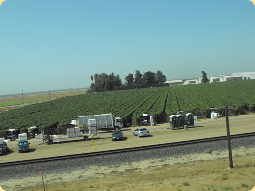 Merced to Bakersfield, CA 058