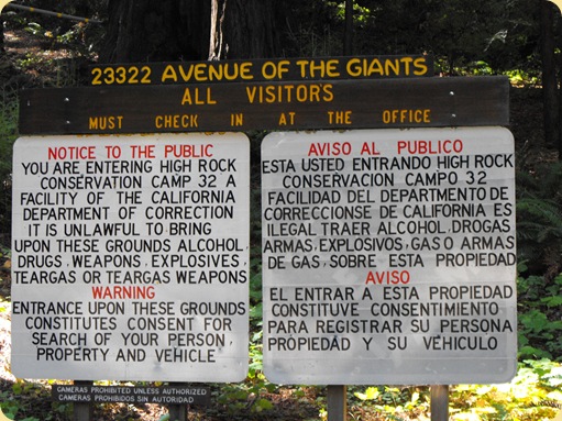Avenue of the Giants-Ancient Redwoods 079