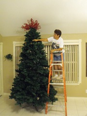[Christmas 2009 Decor 002[2].jpg]