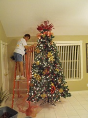[Christmas 2009 Decor 003[2].jpg]