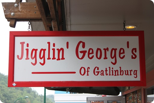 Gatlinburg-Pigeon Forge, TN 019