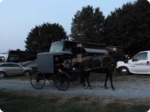 Amish Vendor 014