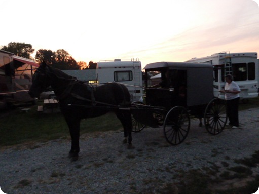 Amish Vendor 003