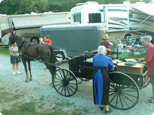 Amish Visit to Park 016