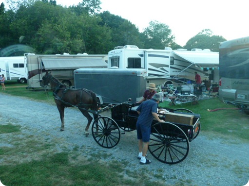 Amish Visit to Park 024
