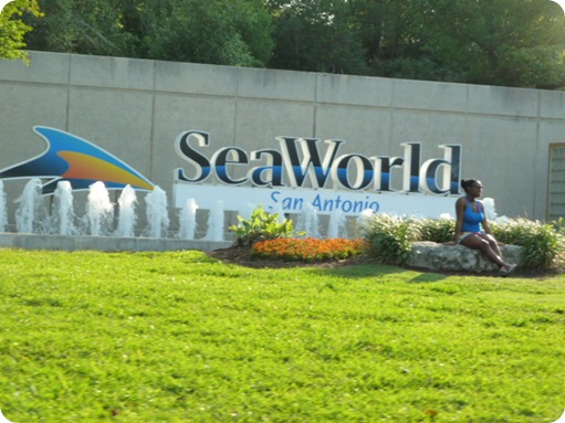 Sea World 143