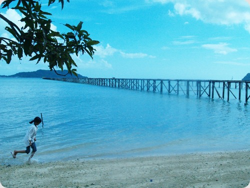 P1012598 P1012598