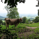Allgäu