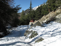 IMG_0267.JPG Photo