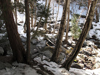 IMG_0272.JPG Photo