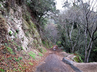Paved Road to Bottom of Canyon Photo
