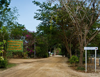 Road to the Sanctuary of Truth Photo
