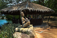 Teak Herbologist Photo