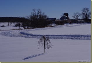 IMGP0698