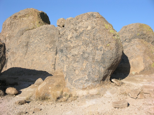 [P6205398[2].jpg]