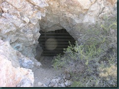 P9125529