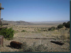 SDC10266