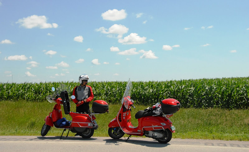 External inline image provided by member with no explanatory text