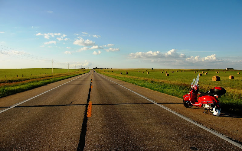 External inline image provided by member with no explanatory text