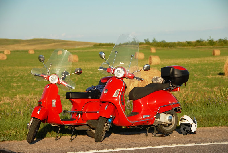 External inline image provided by member with no explanatory text