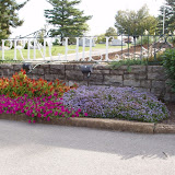 Spring Hill